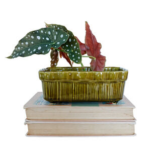 VTG 60s BRUSH Ribbed Planter 7" Midcentury Modern Retro Granny Trinket Bowl Vase